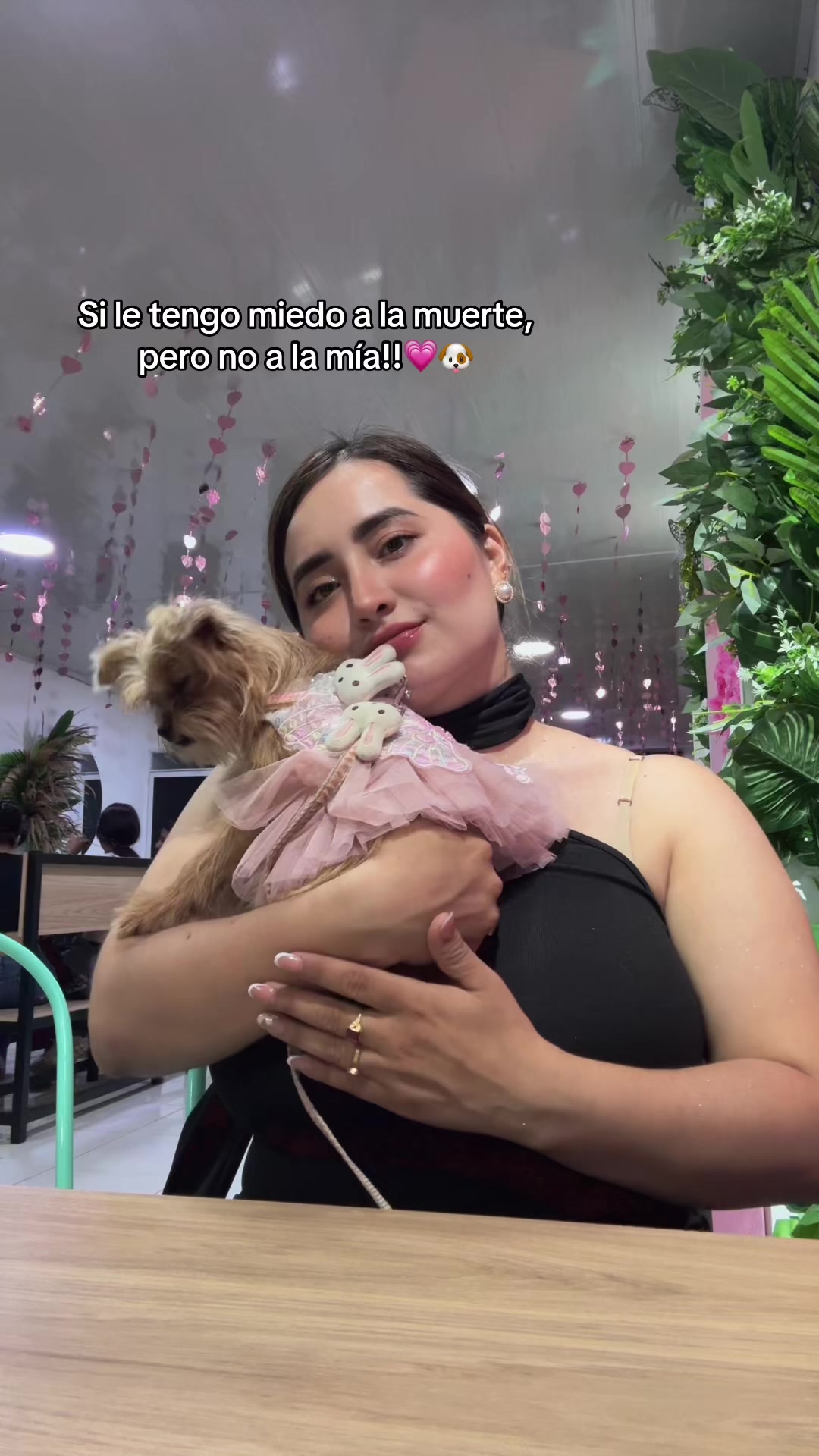 @Vivian🦦💜