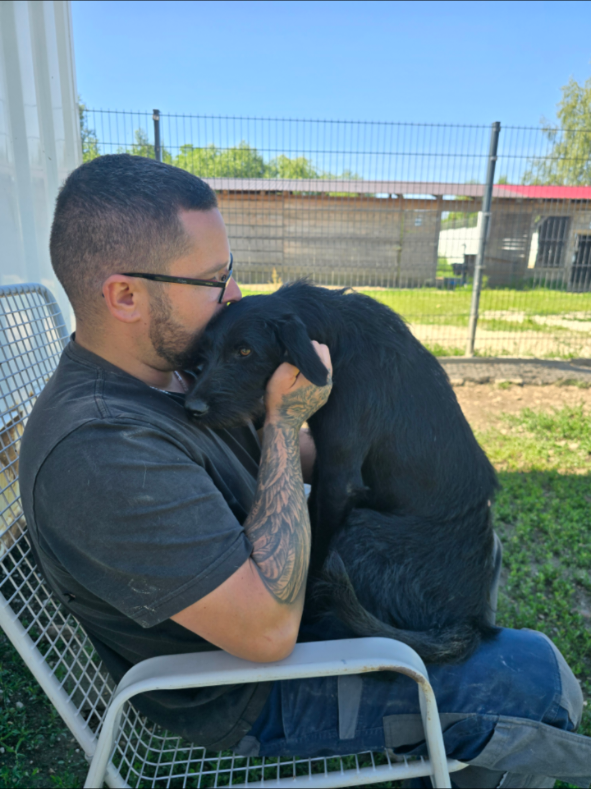 @Sevi