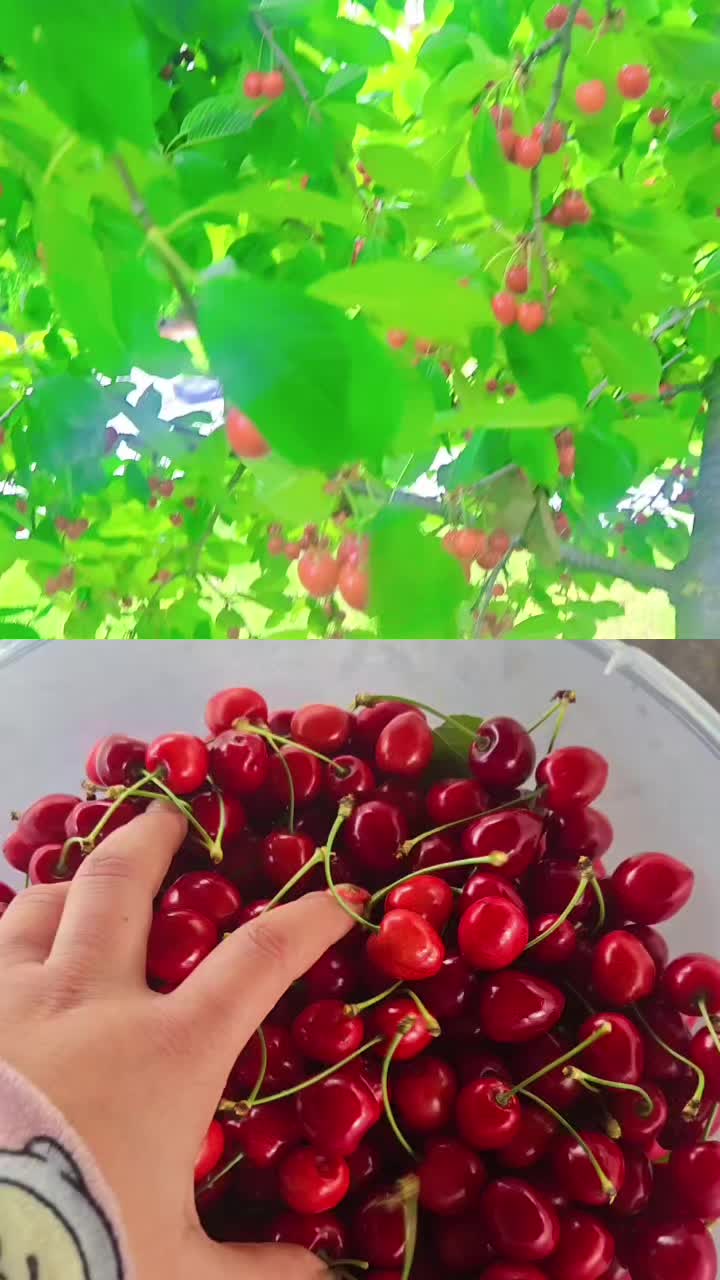@lolalory25