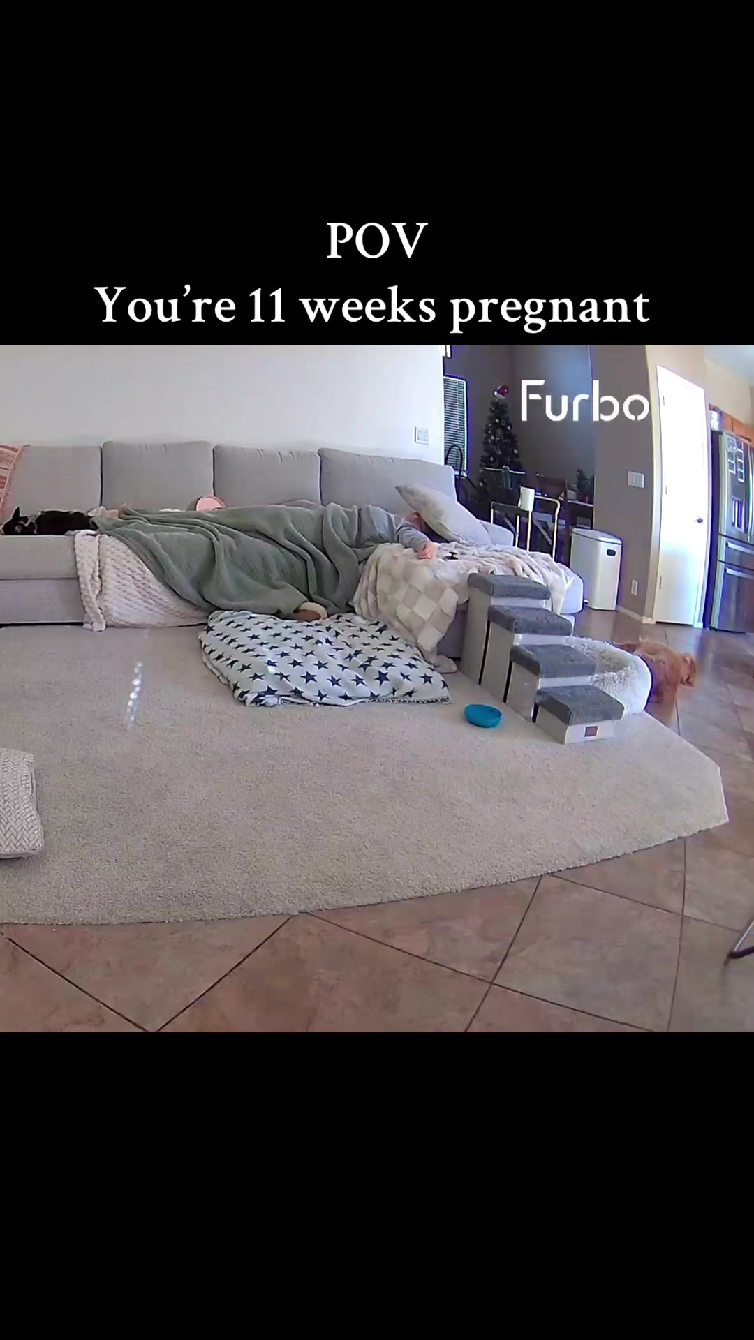 @🐾 Mav&MamaMel🤰🏼 | FTM