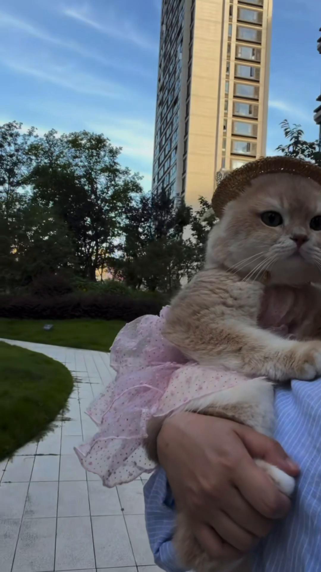 @My Daily Dose of Aww
