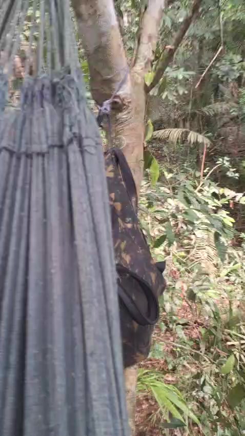 @Ca&ccedil;ador raiz