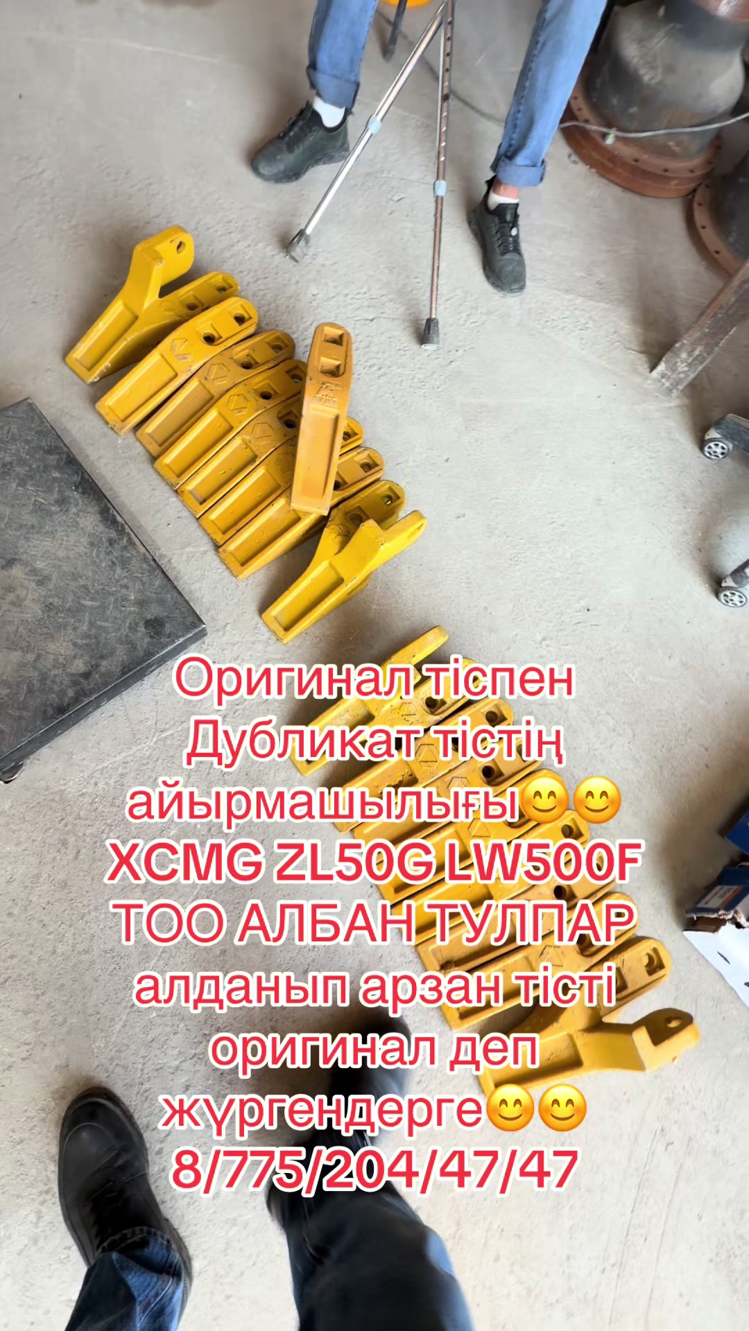 @ТОО Албан Тулпар