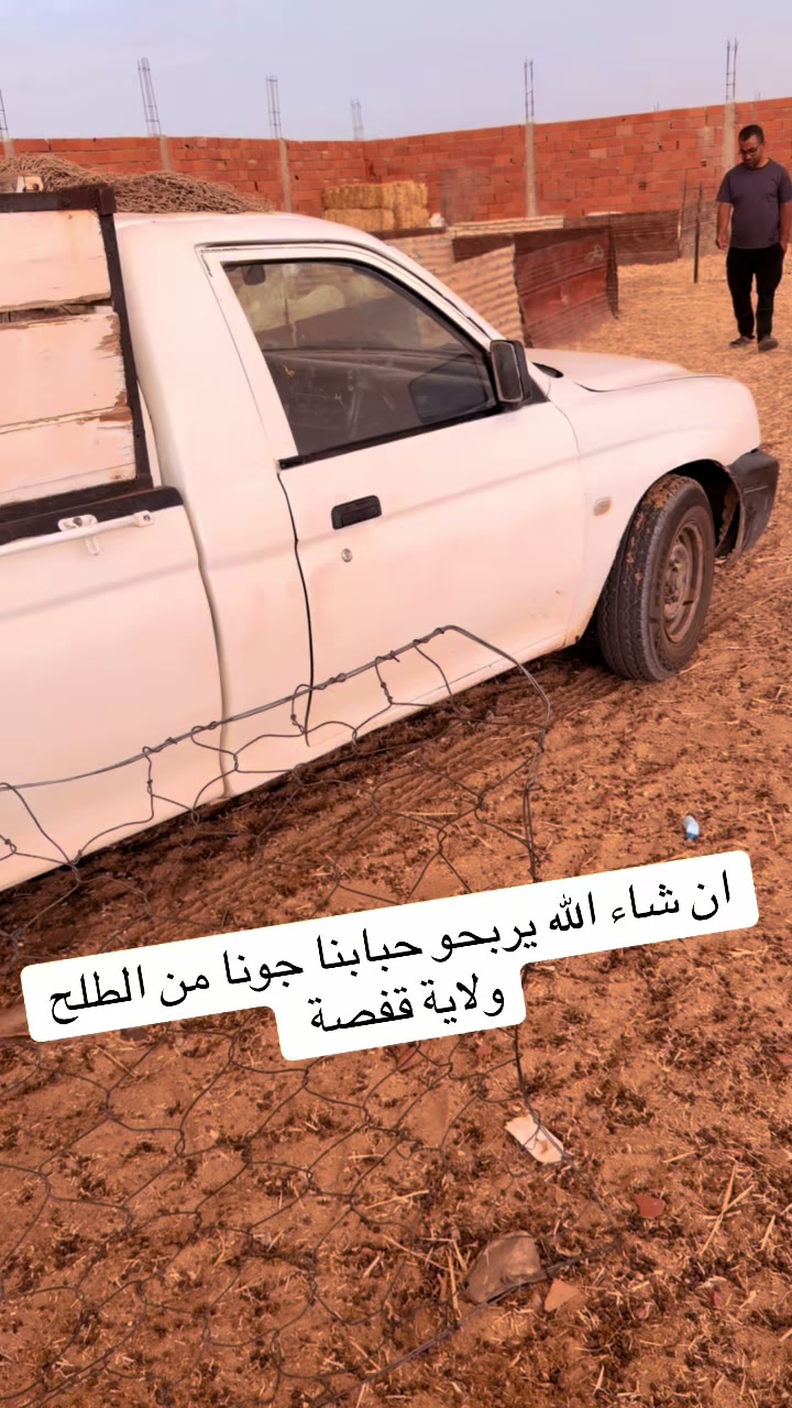 @بلال القفصي لبيع المواشي