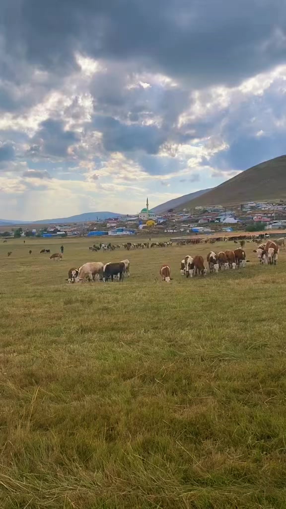 @G&uuml;ler_Yakup