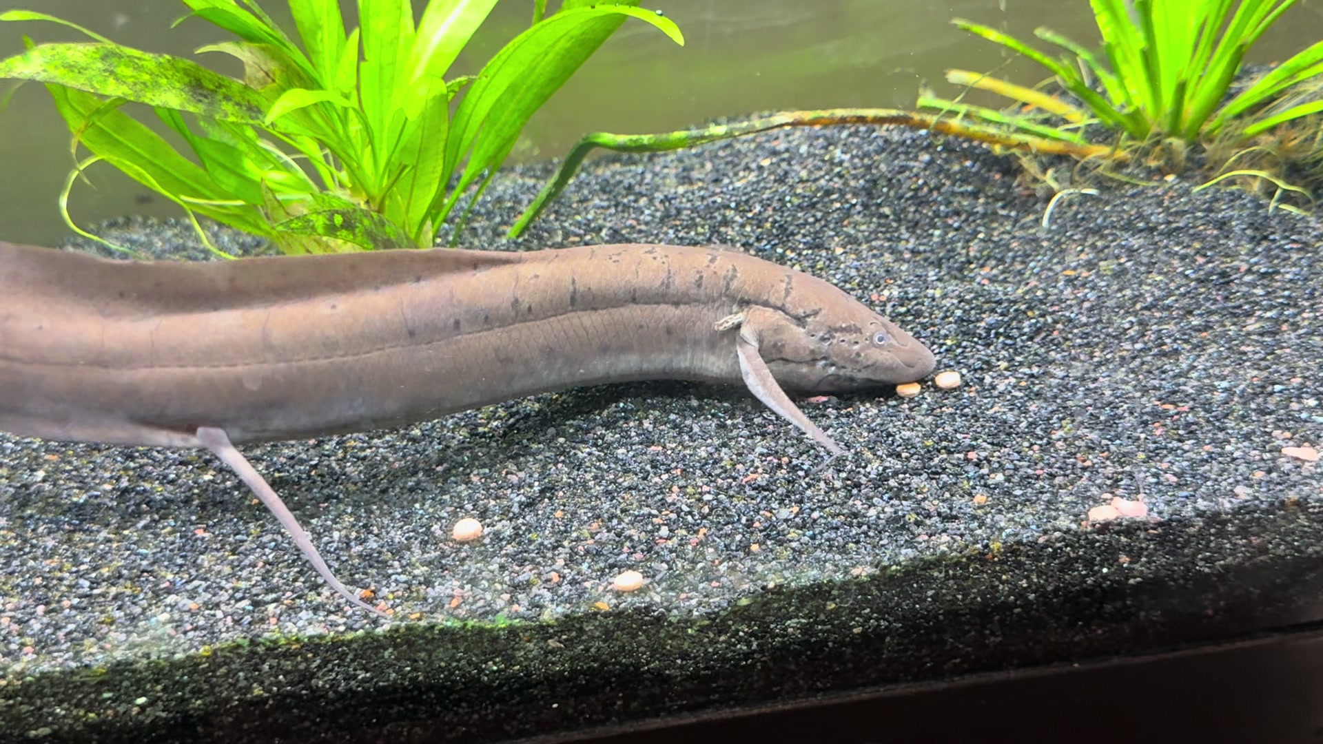 @fishdaddy2002
