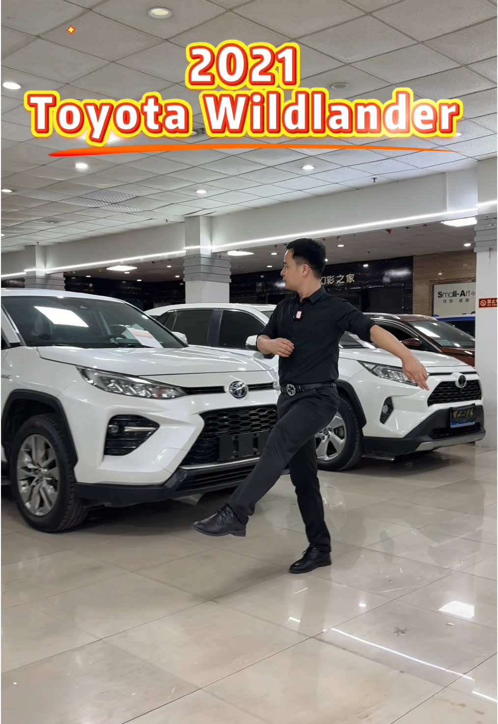 @Lao Wu China  Used Cars
