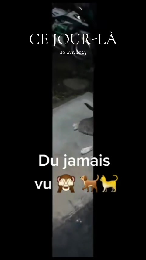 @B&Euml;LL&Acirc; 🫣🥰