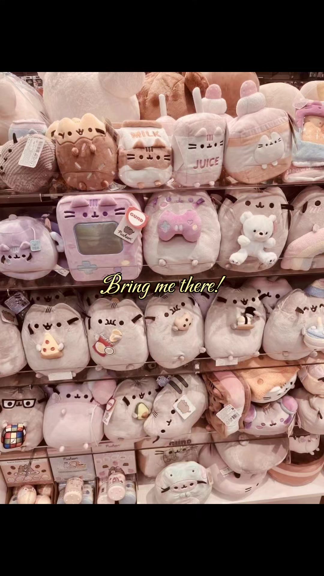 @☆:.｡.𝐒𝐞𝐫𝐞𝐧𝐢𝐭𝐲!★