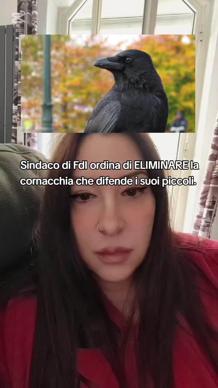 @🐿️ Gabriella 🐻🐺