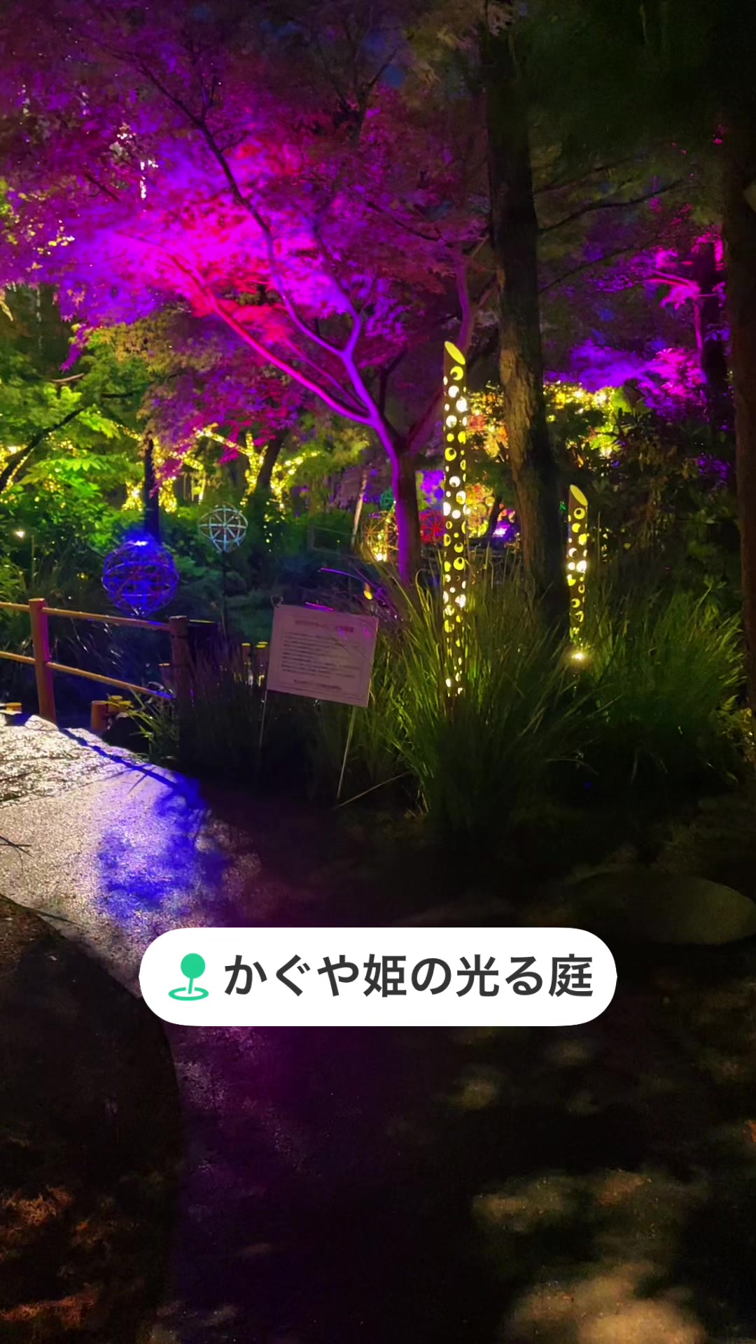 @桜田琉生🐱🌙