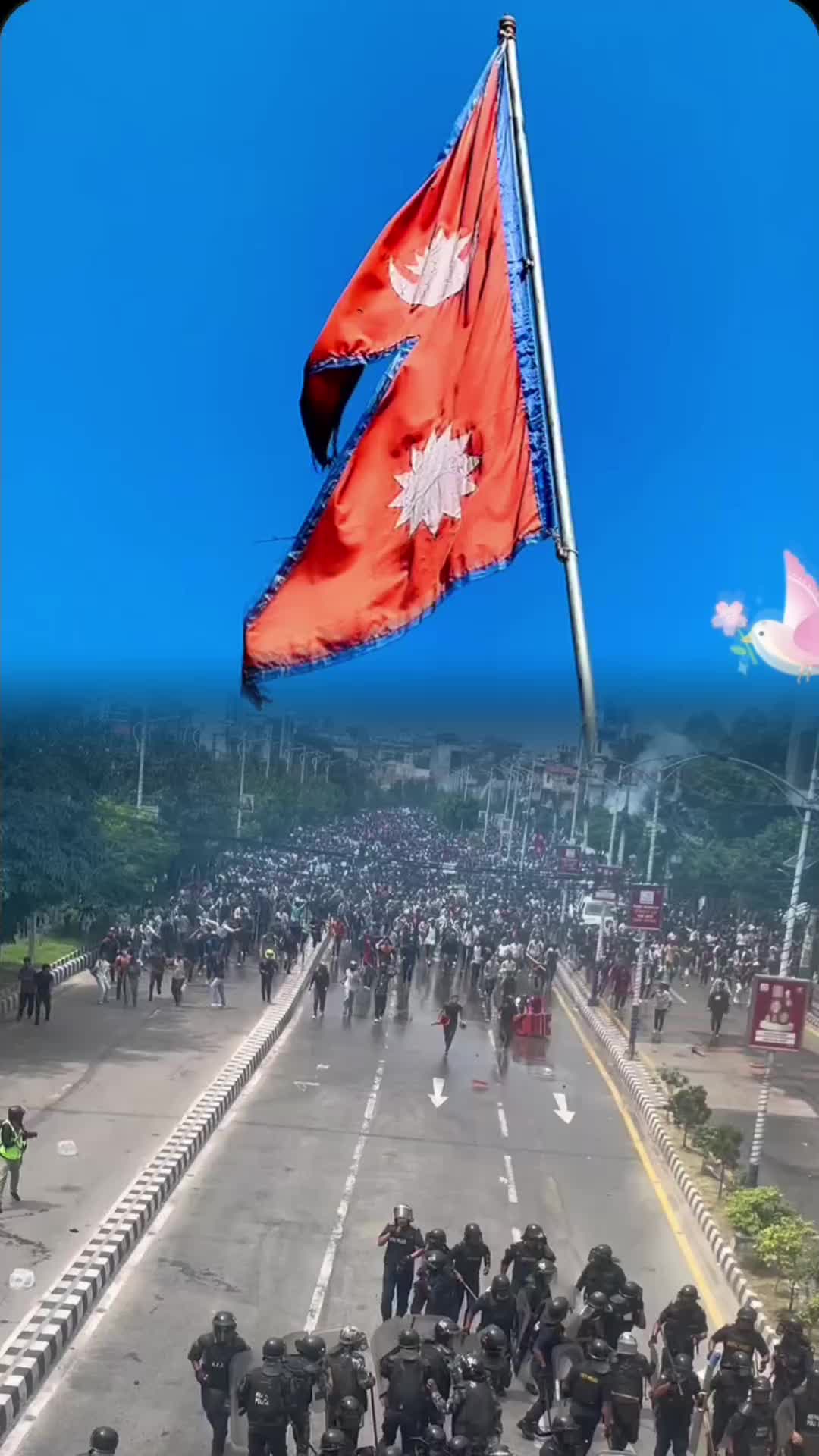@दाह्री ब्रो   ❣️❣️❣️