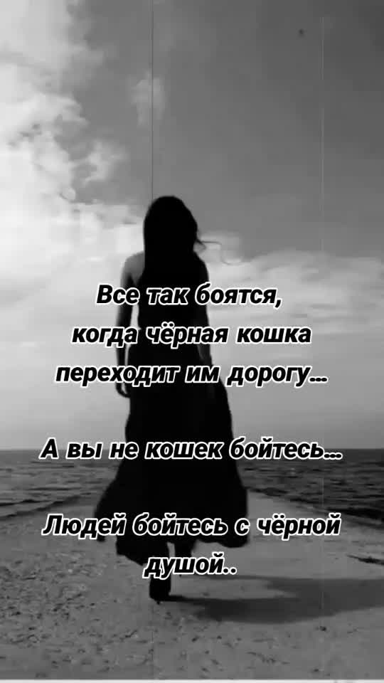 @Bagira62
