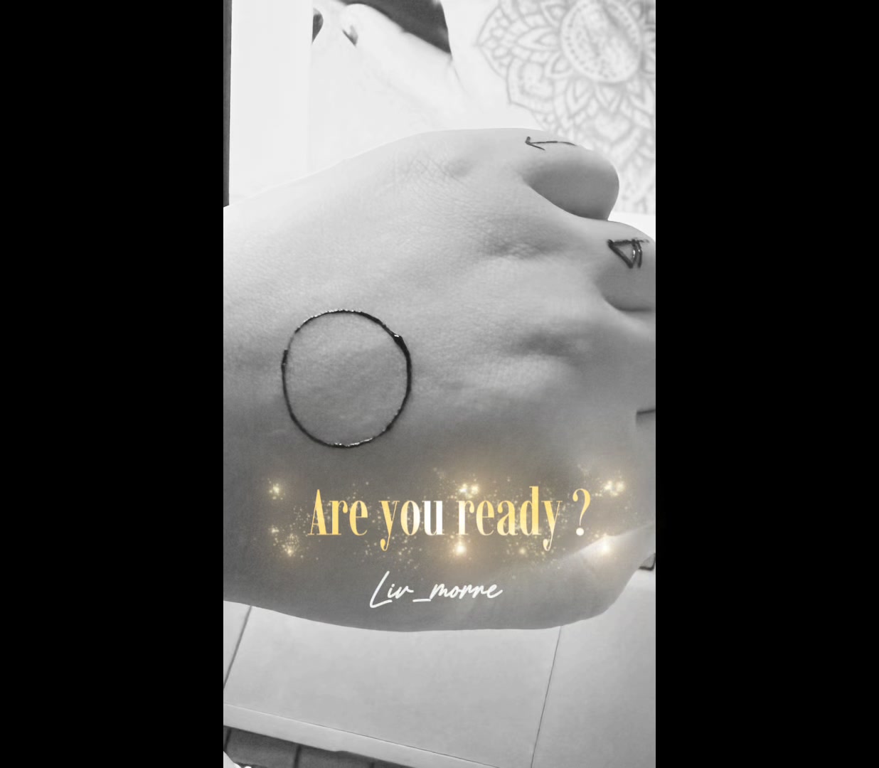 @~ • 🌙 Myt 🐰 • ~