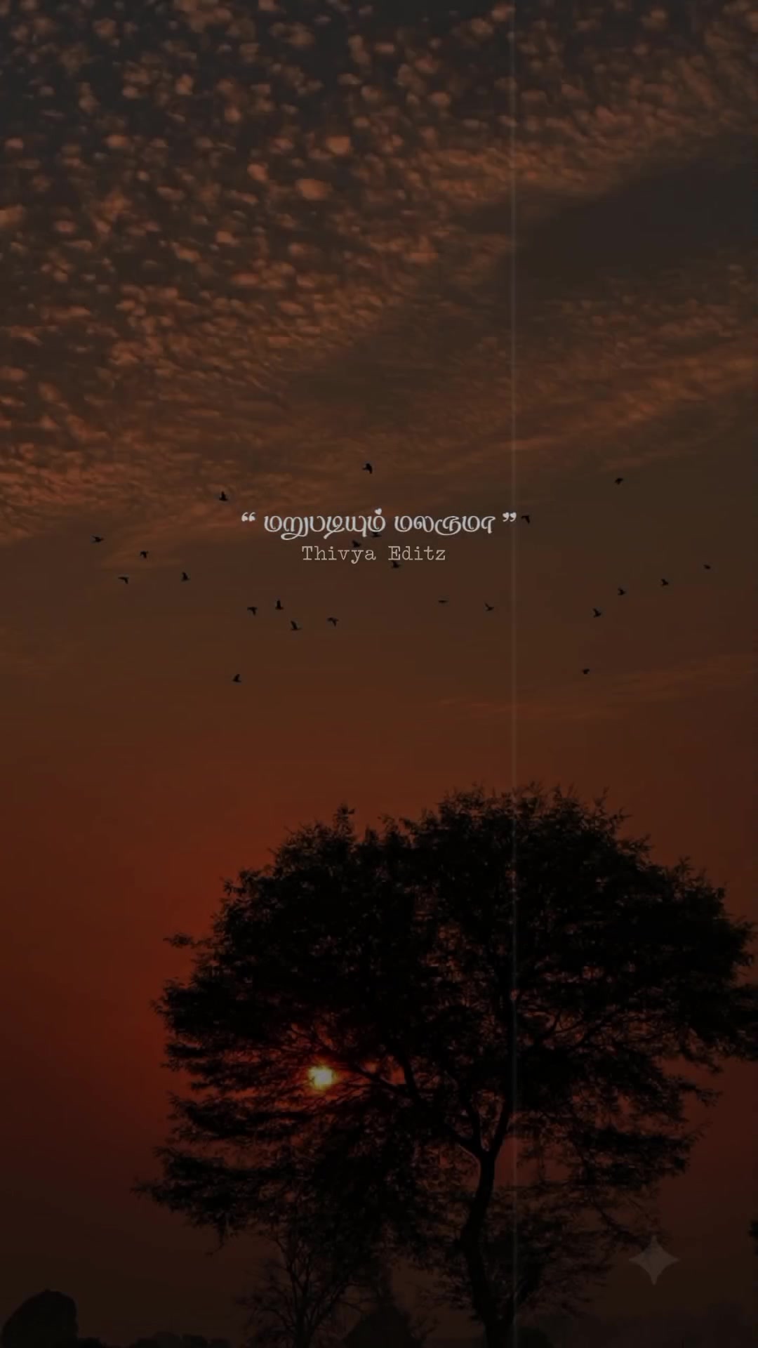 @𝐓𝐡𝐢𝐯𝐲𝐚 𝐄𝐝𝐢𝐭𝐳