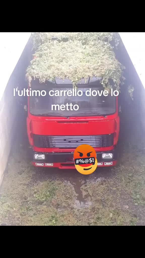 @luca87