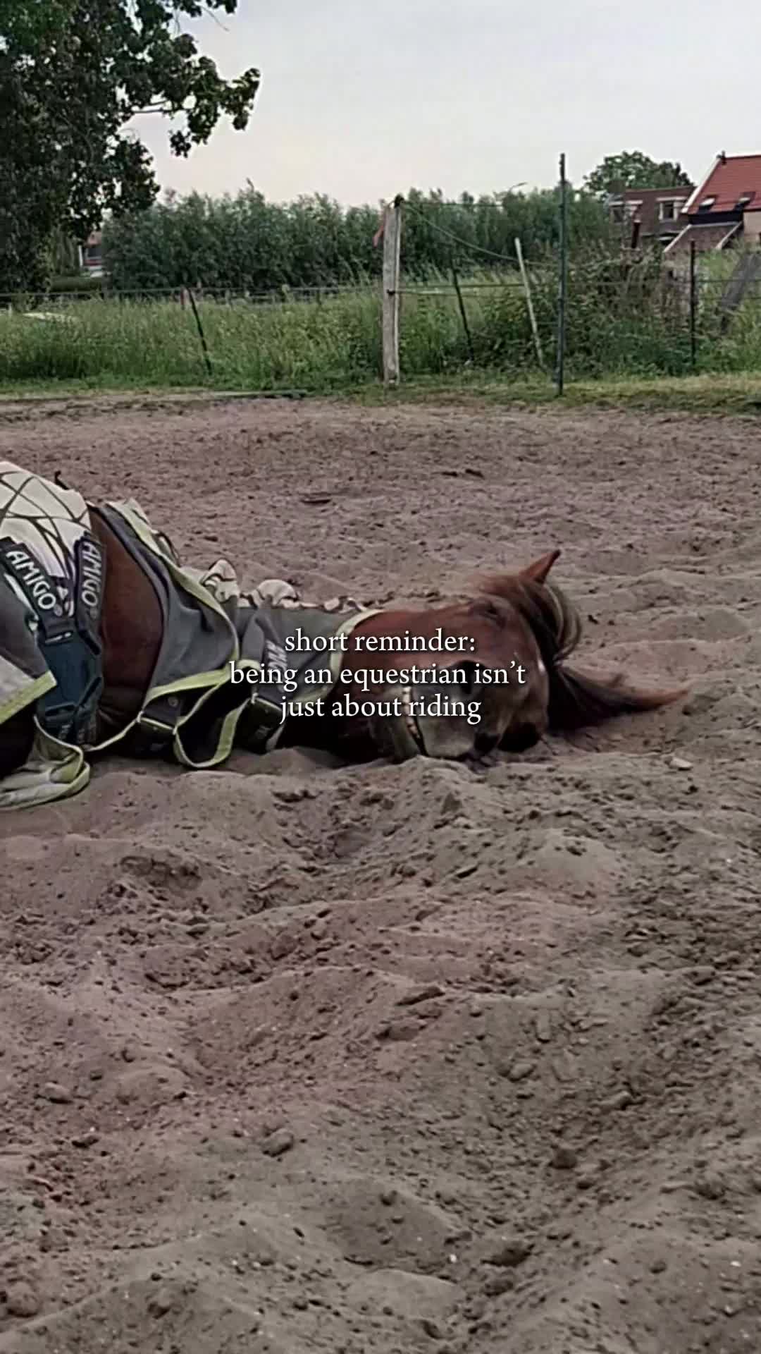@Tiffany&bandit&bella