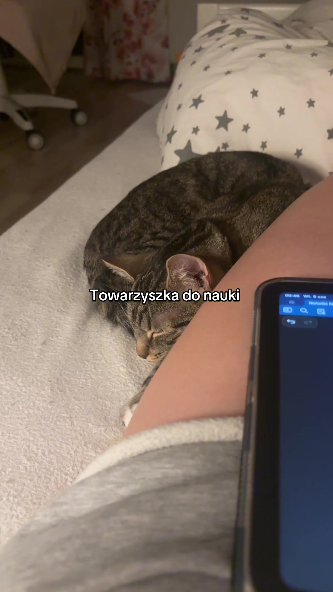 @notatki🤫🧏