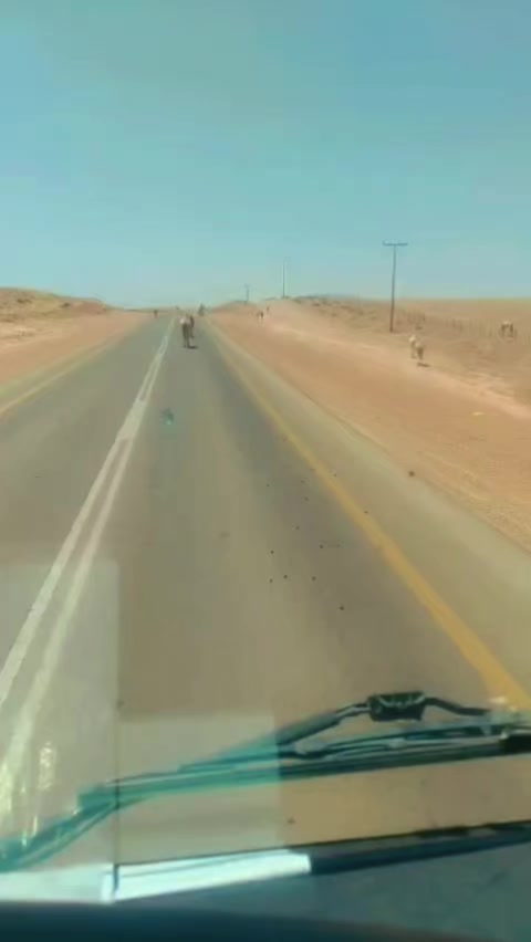 @Musa 2566