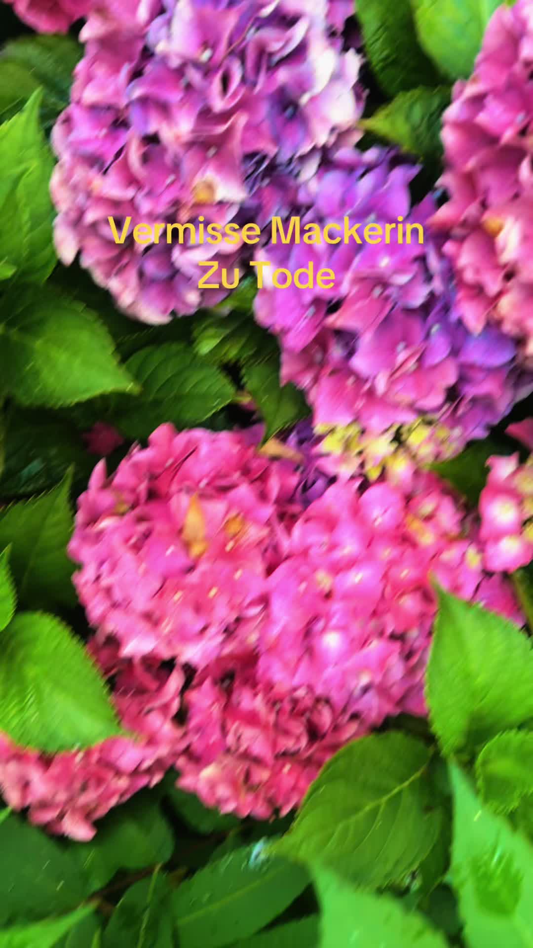 @⋆˚࿔ 𝐎𝐬𝐜𝐚𝐤𝐞𝜗𝜚˚