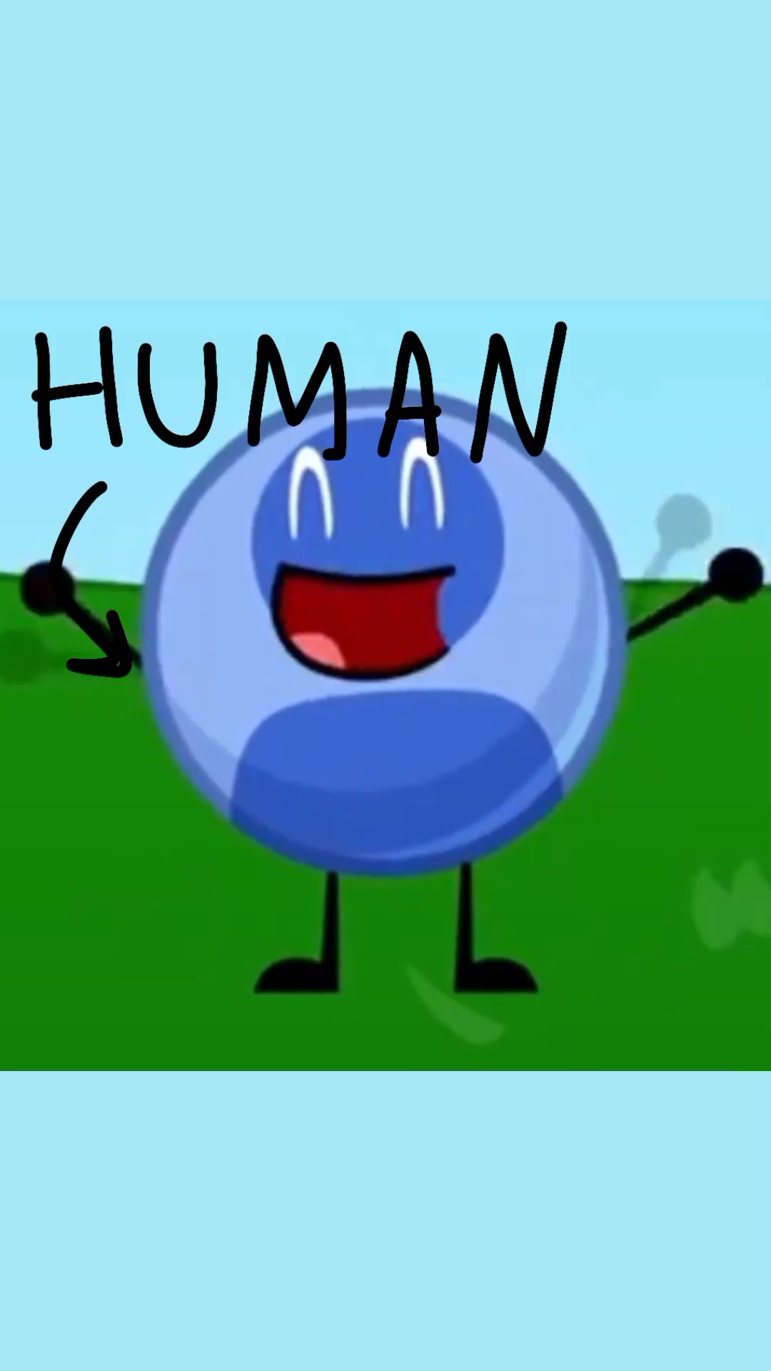 @frannimator