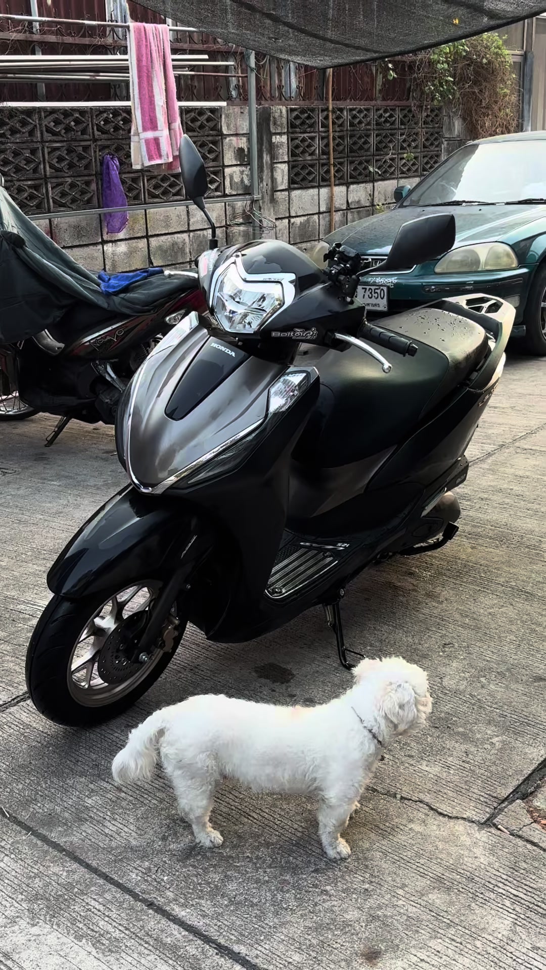 @ฮัลโหลฉันกำลังไป