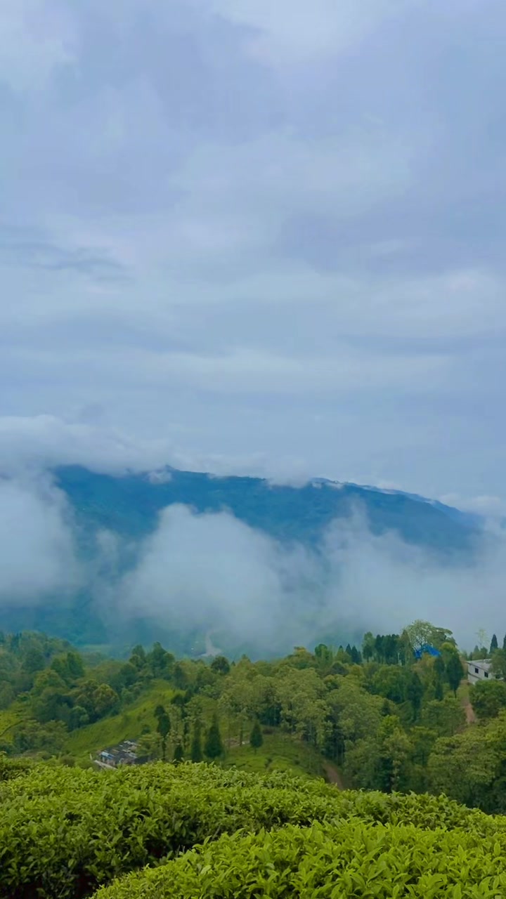 @Samjhana Chhetri
