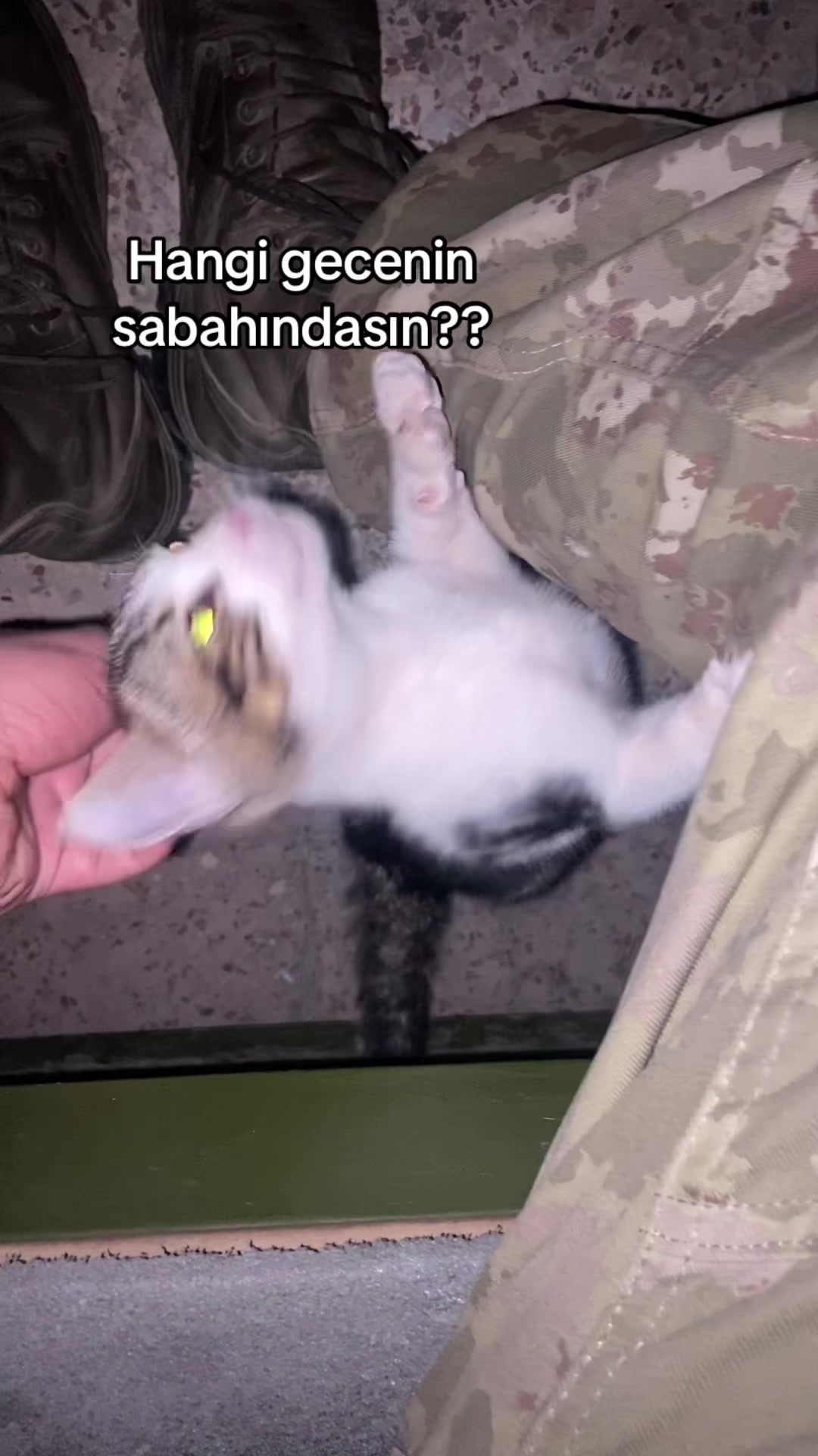 @Emirgny