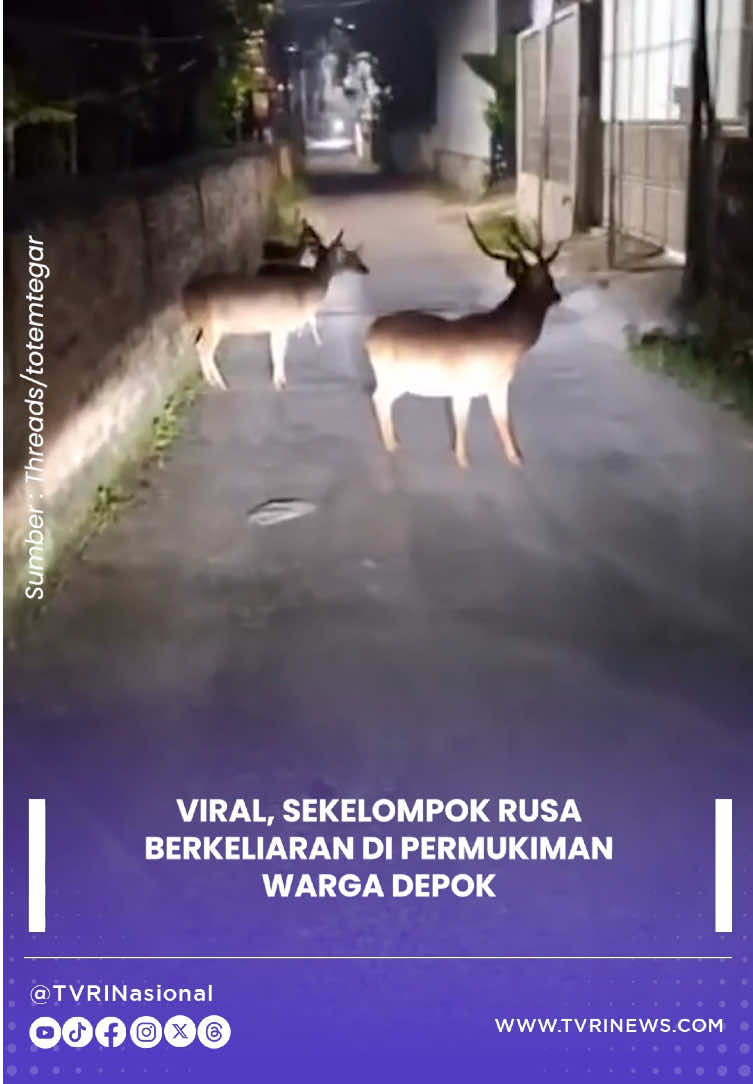 @tvrinasional