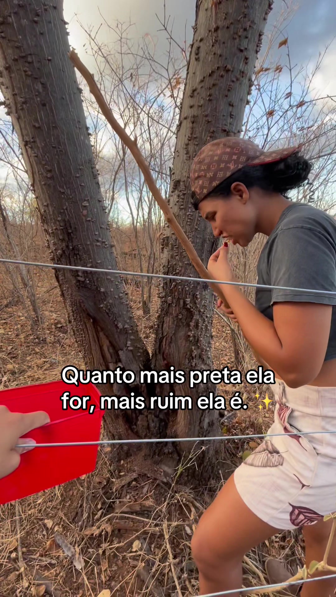 @monicadejatoba
