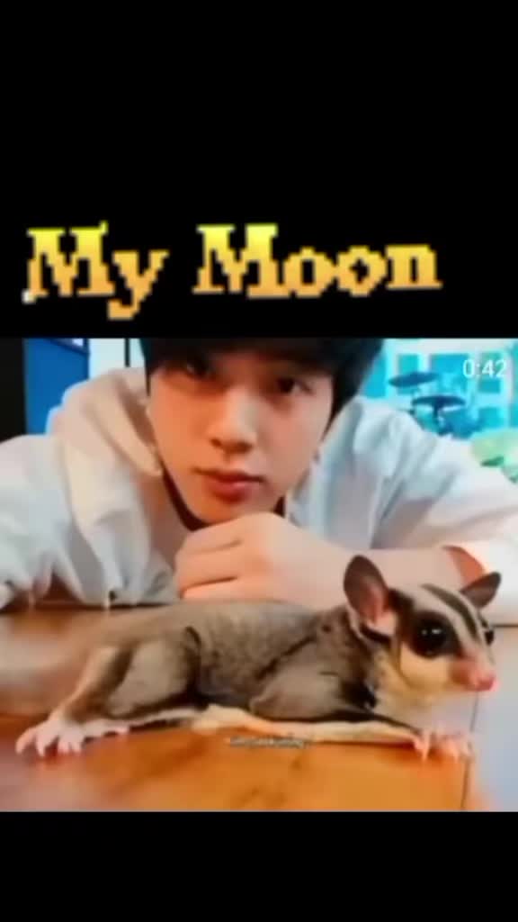 @BTSARMYGALFANOFALLMEMBERS💜