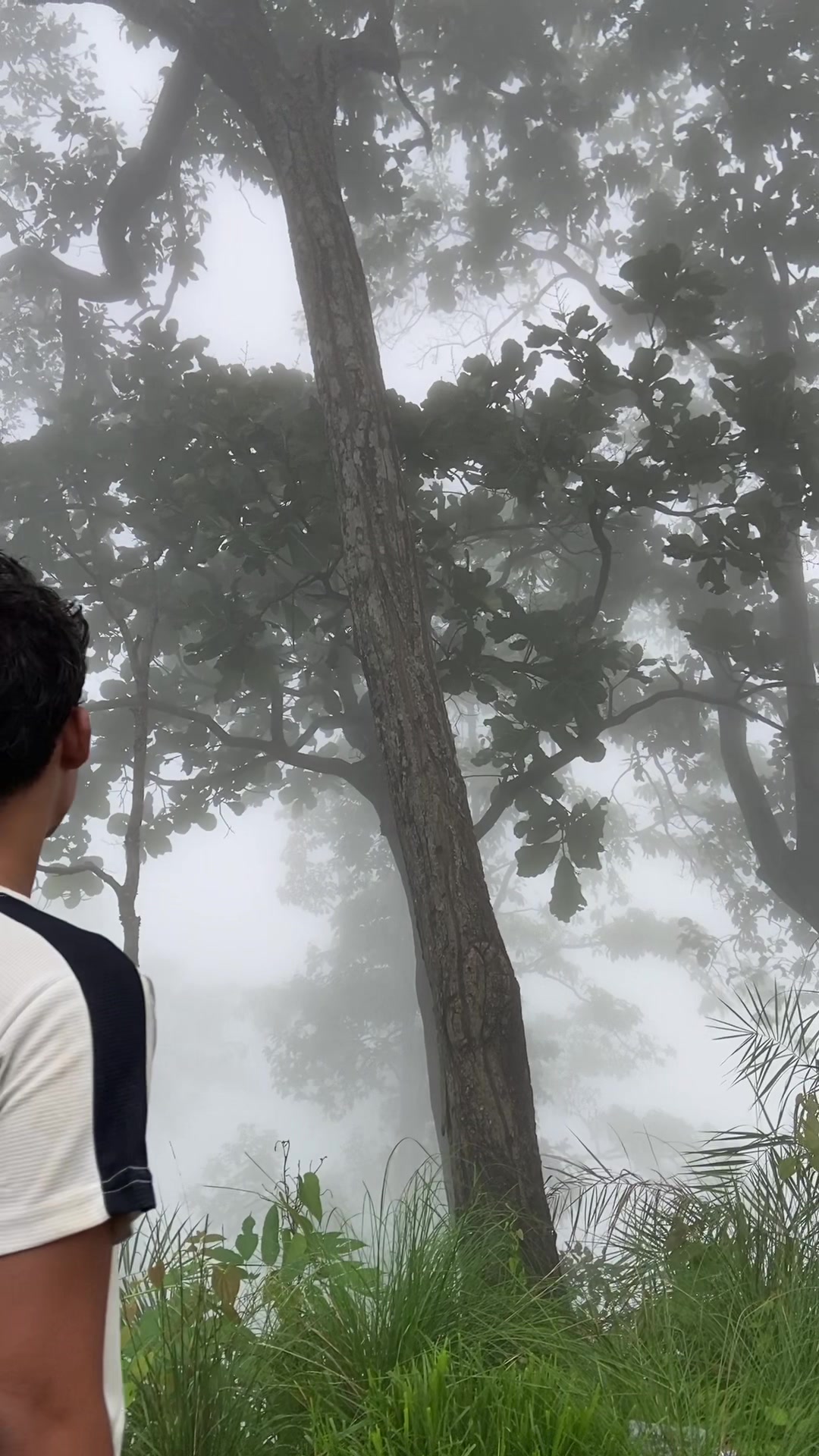 @Apil Chhetri