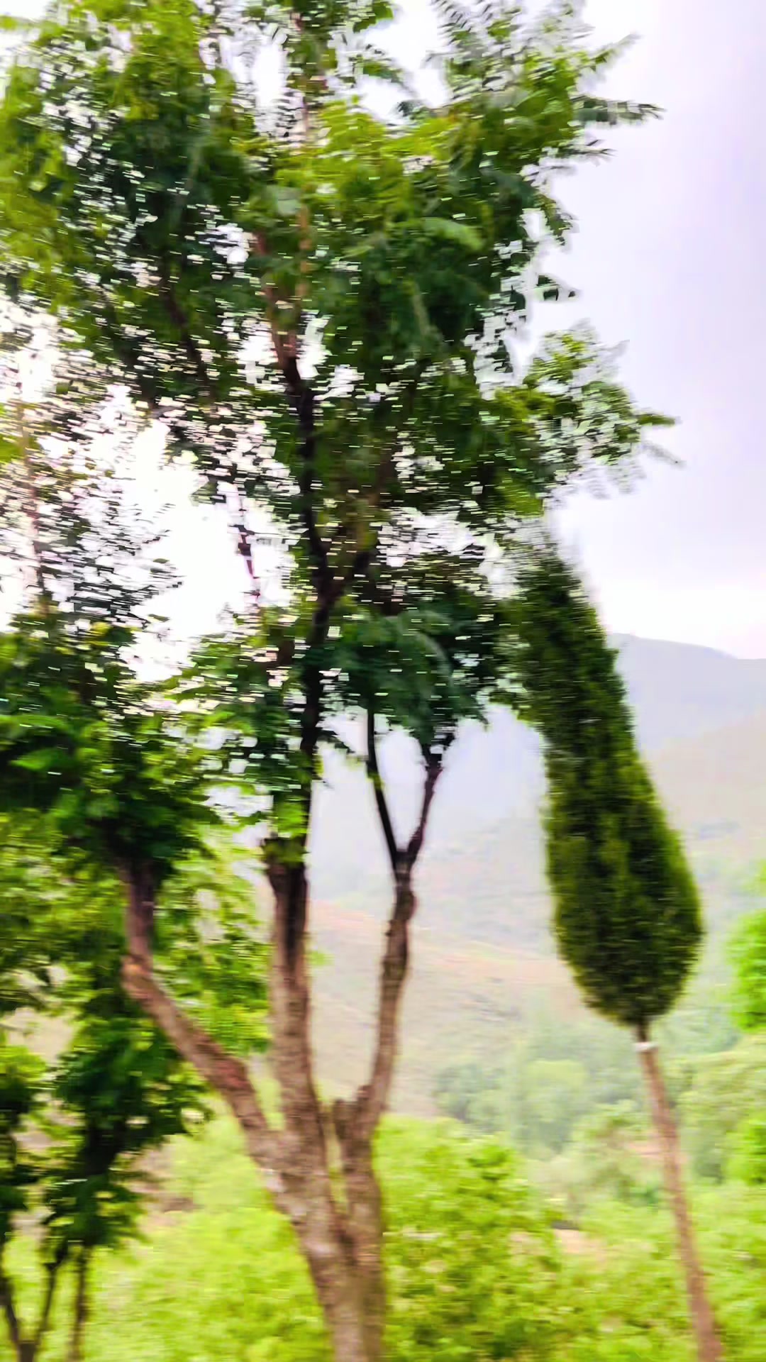 @ð_ððŠ_ððšðððð