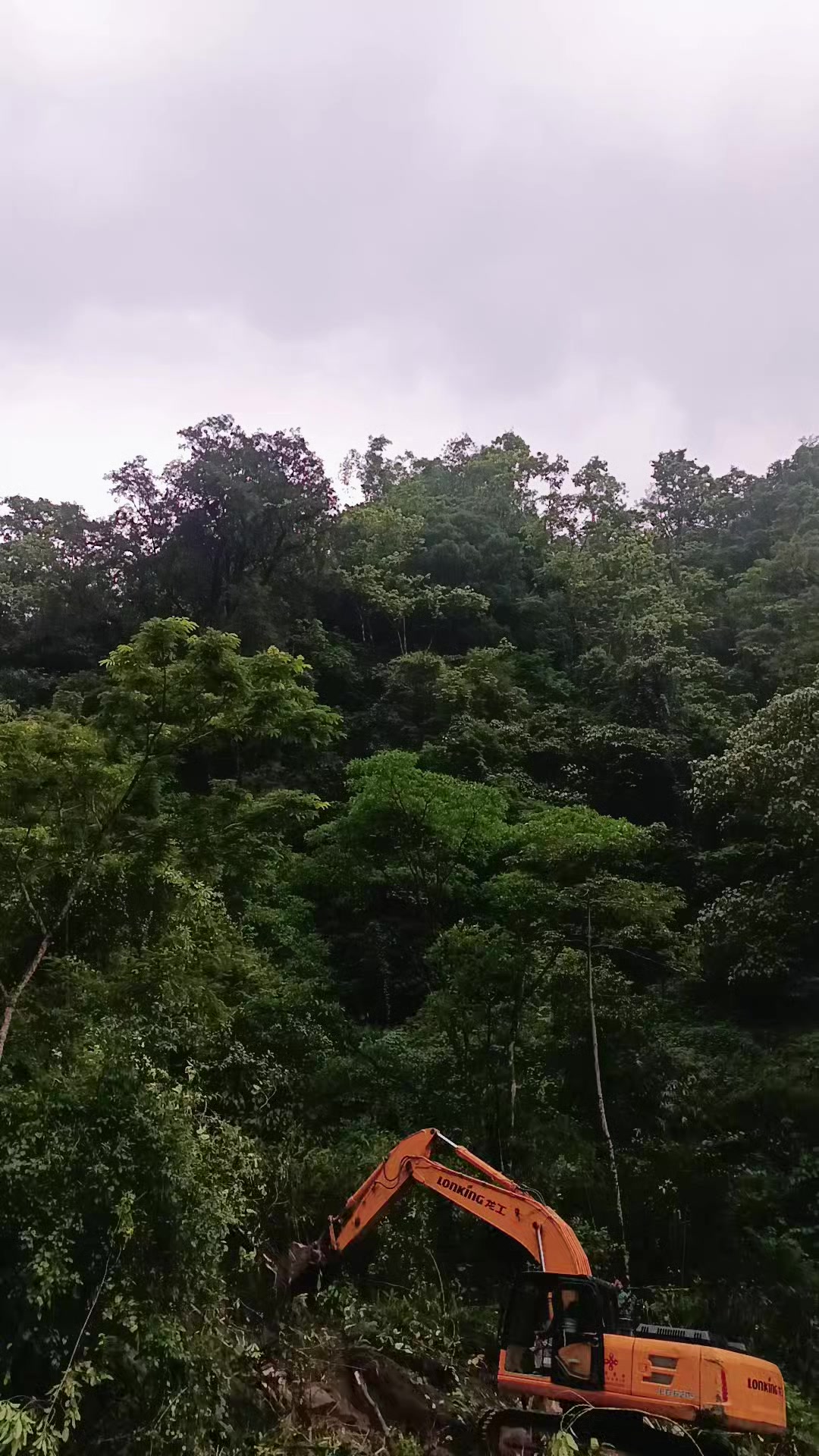 @अर्जुन लिम्बु vlog 🇳🇵