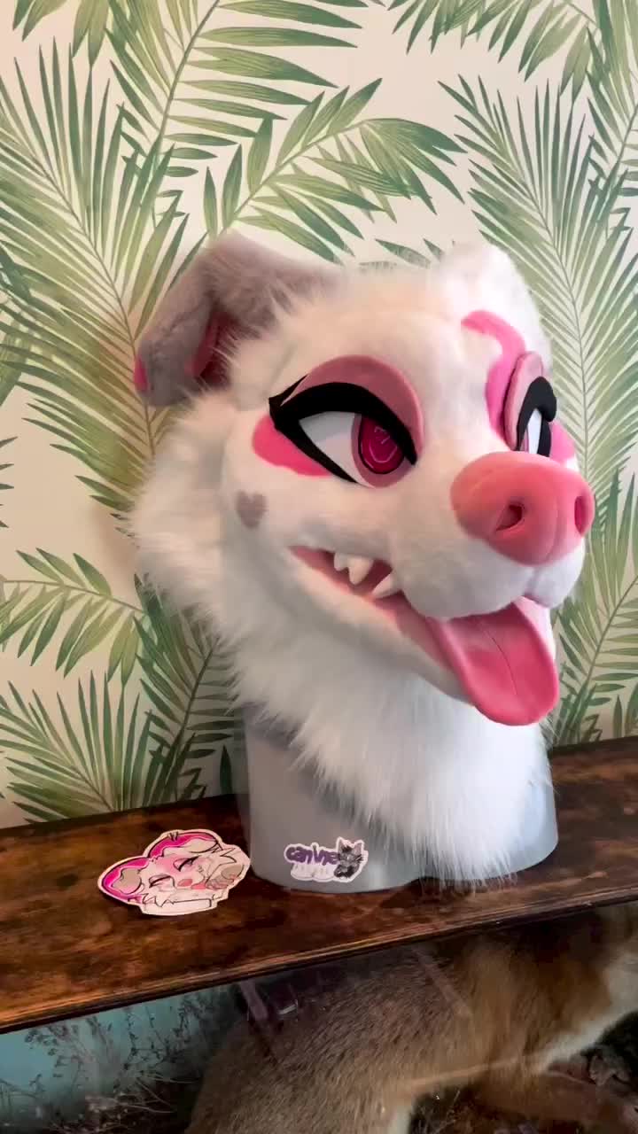 @Canine