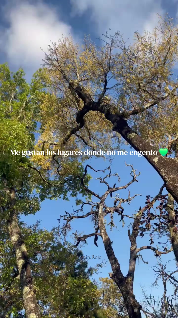@Yass ❤️