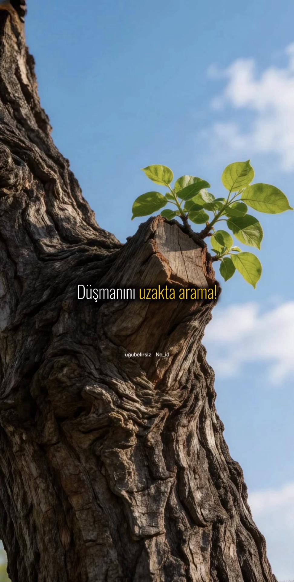 @ne_idugubelirsiz
