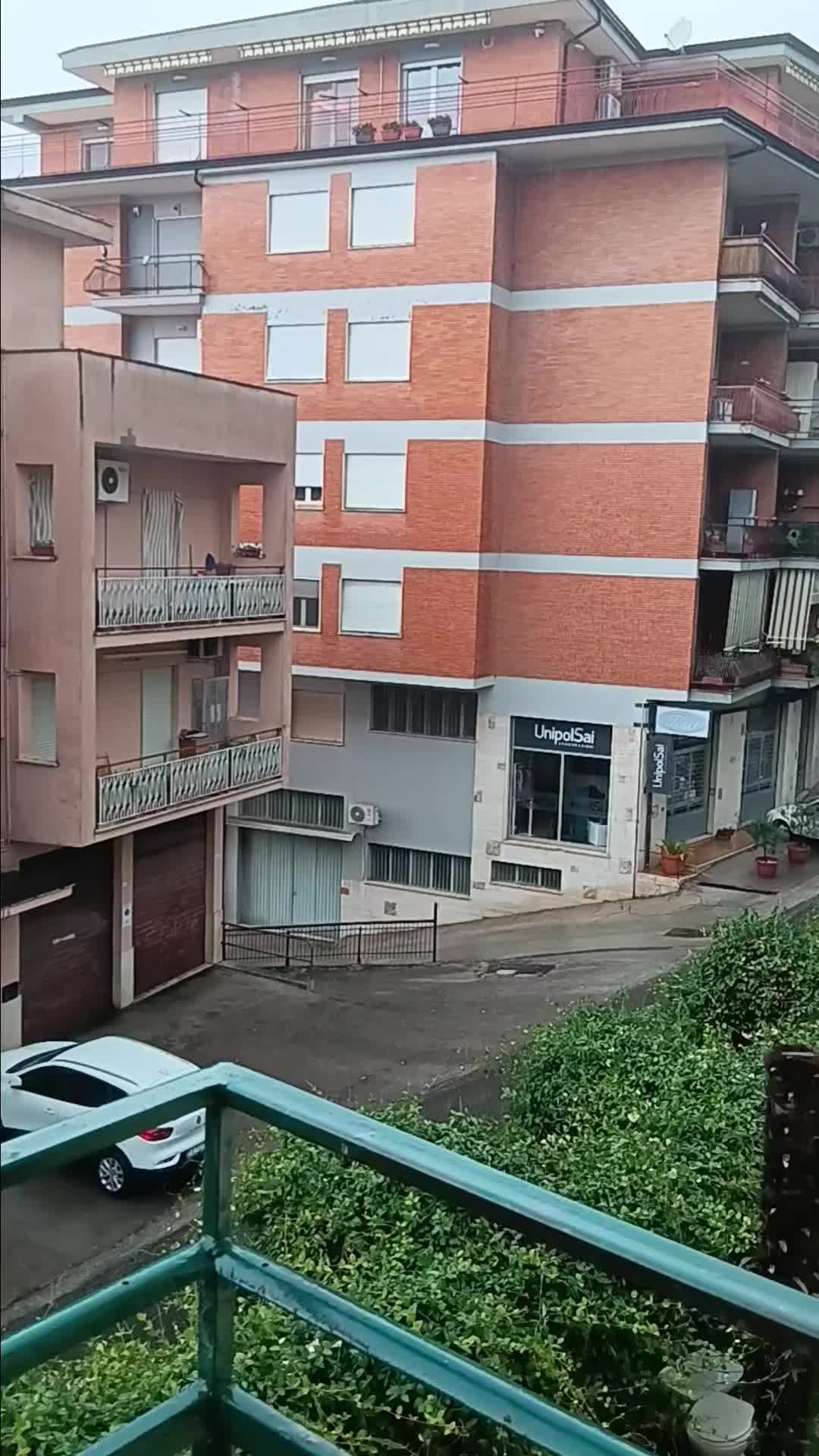 @LAURA GIOVANNELLI PROTANI