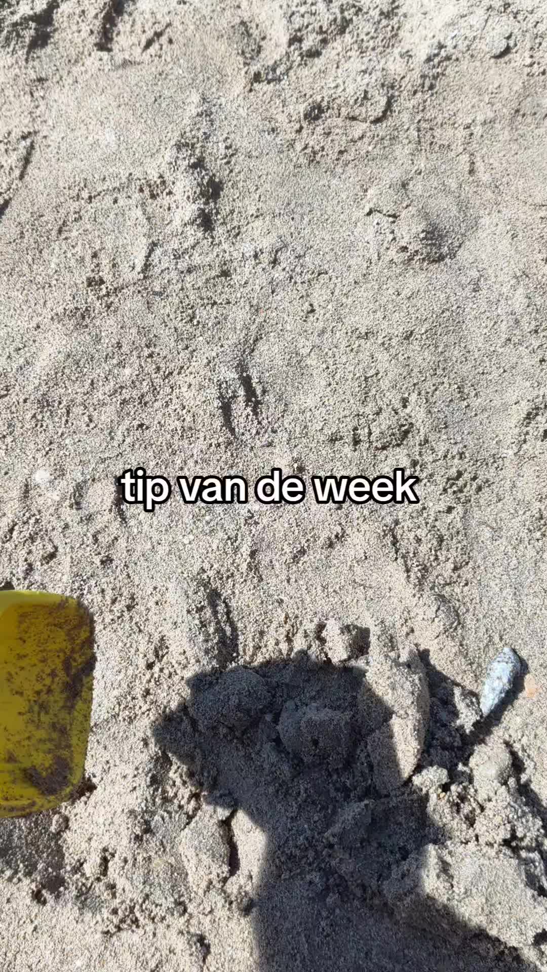 @Mr.Holibay
