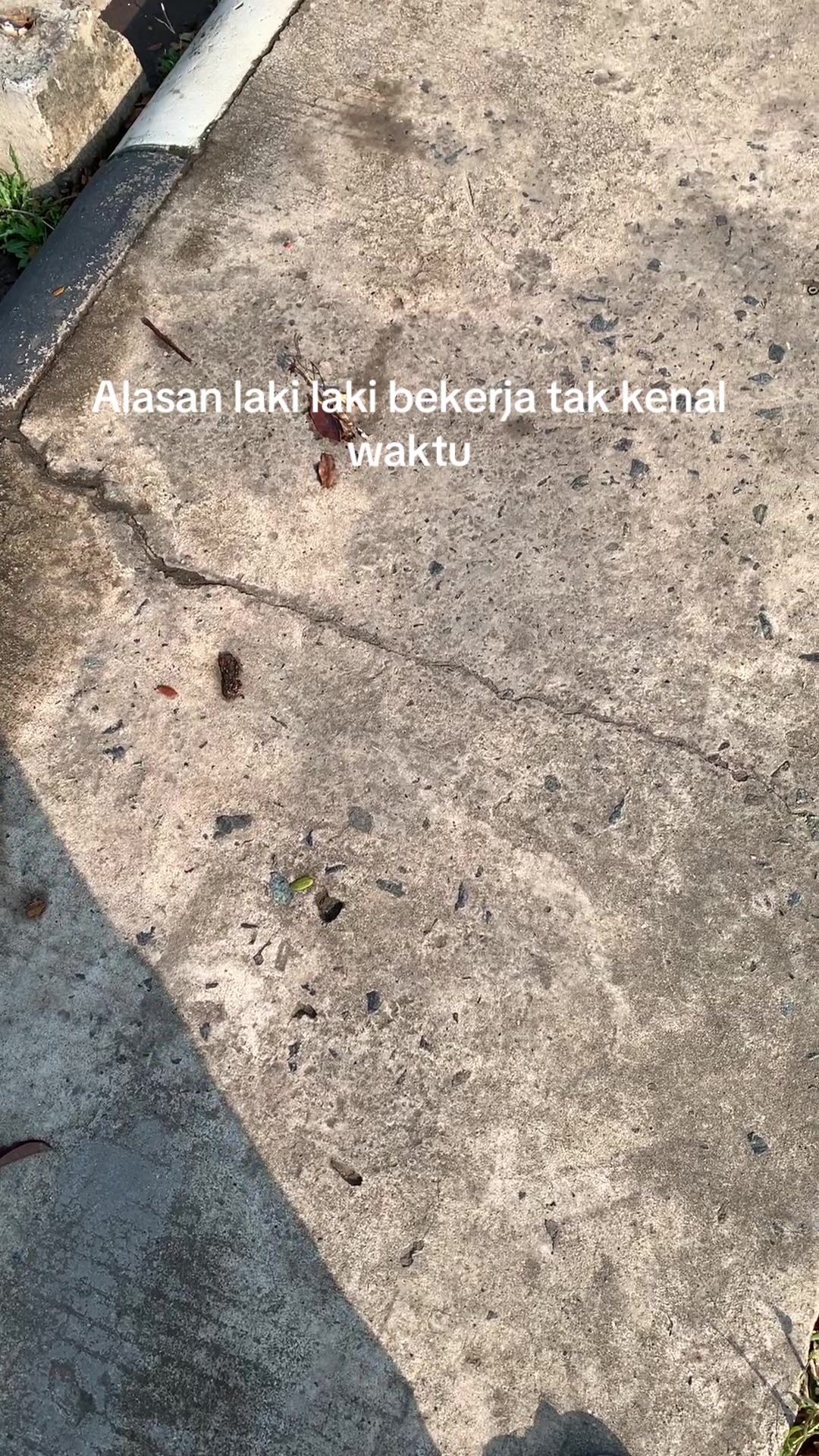 @Masnot