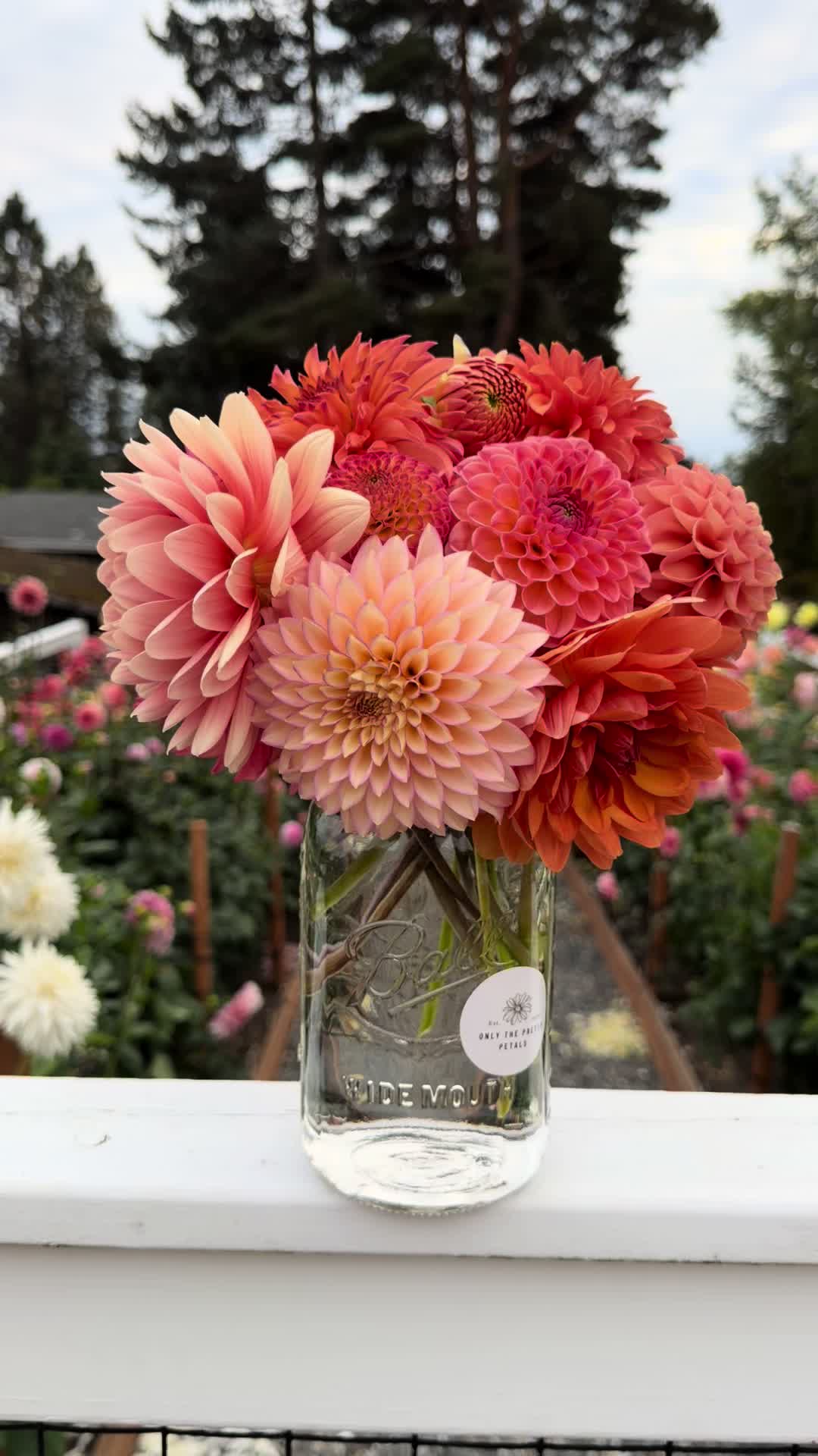 @Only The Pretty Petals