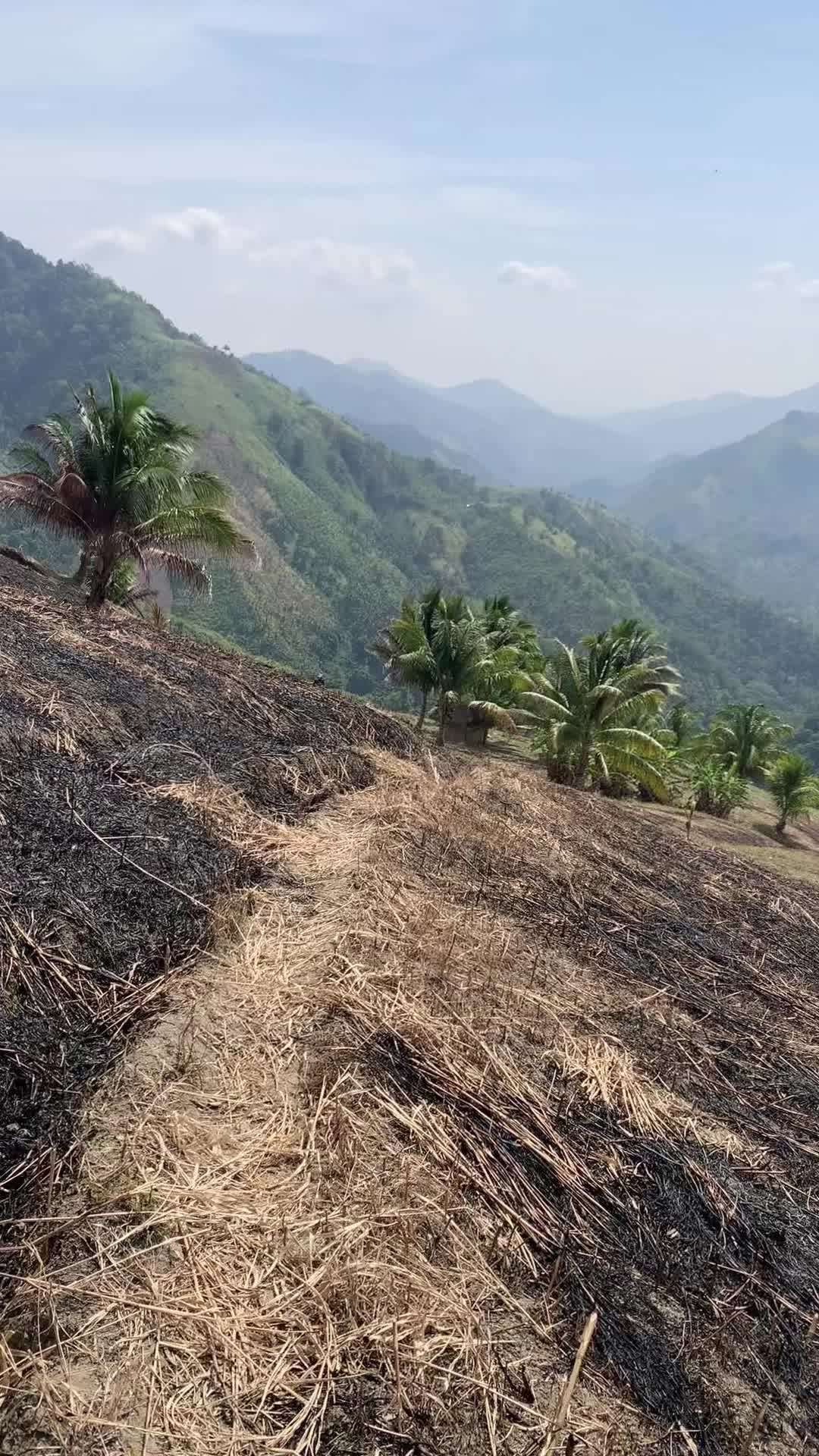 @Jibbydigan