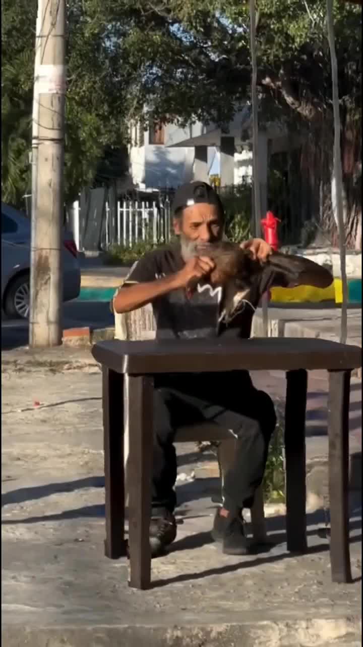 @Silva