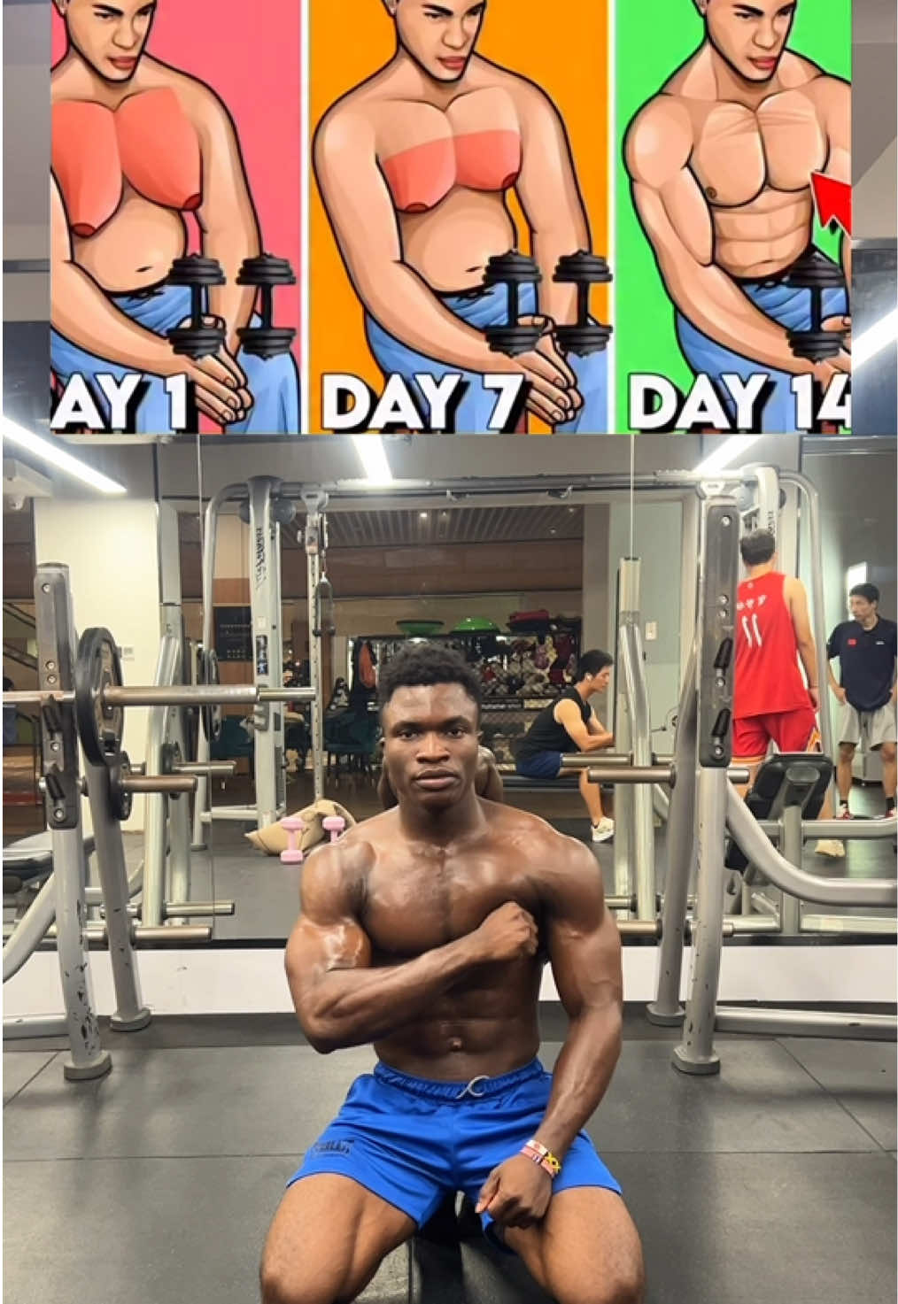 @FITNESS BEASTTRA
