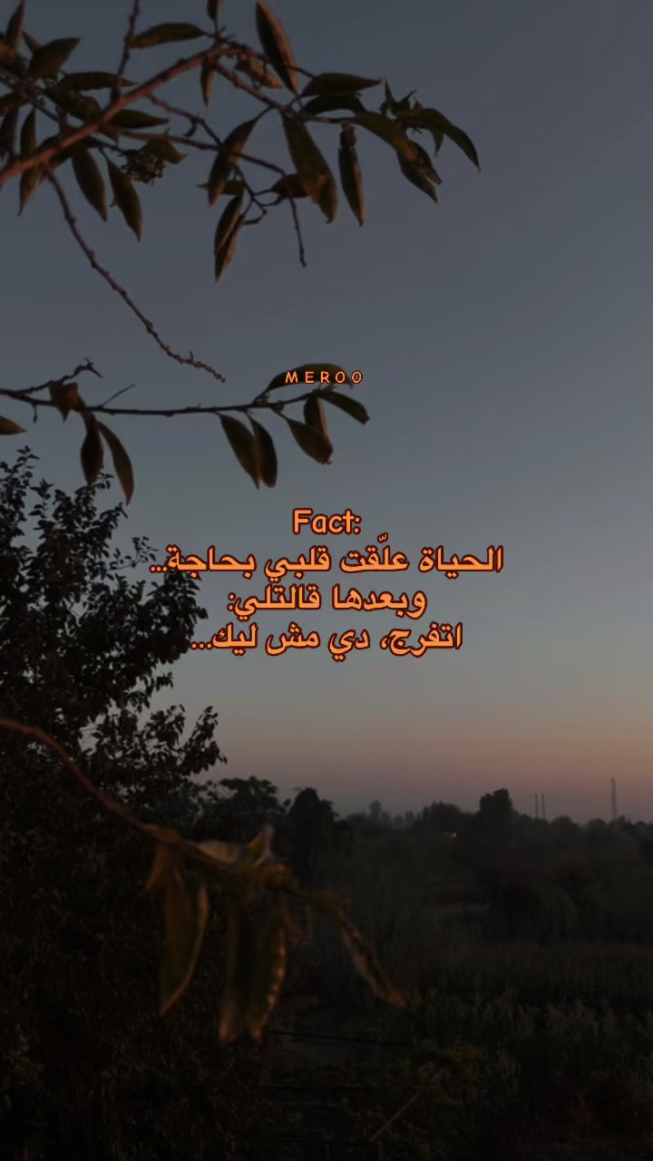 @༒آمِــيـــّر _𓆩ᗩᗰIᖇ𓆪🤎