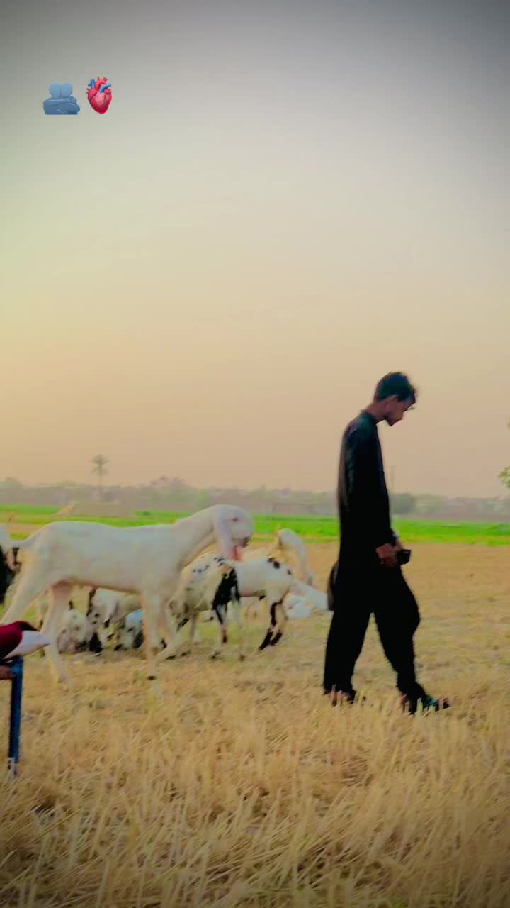 @BIlALKHAN  🇧🇹. 377.  🇧🇹