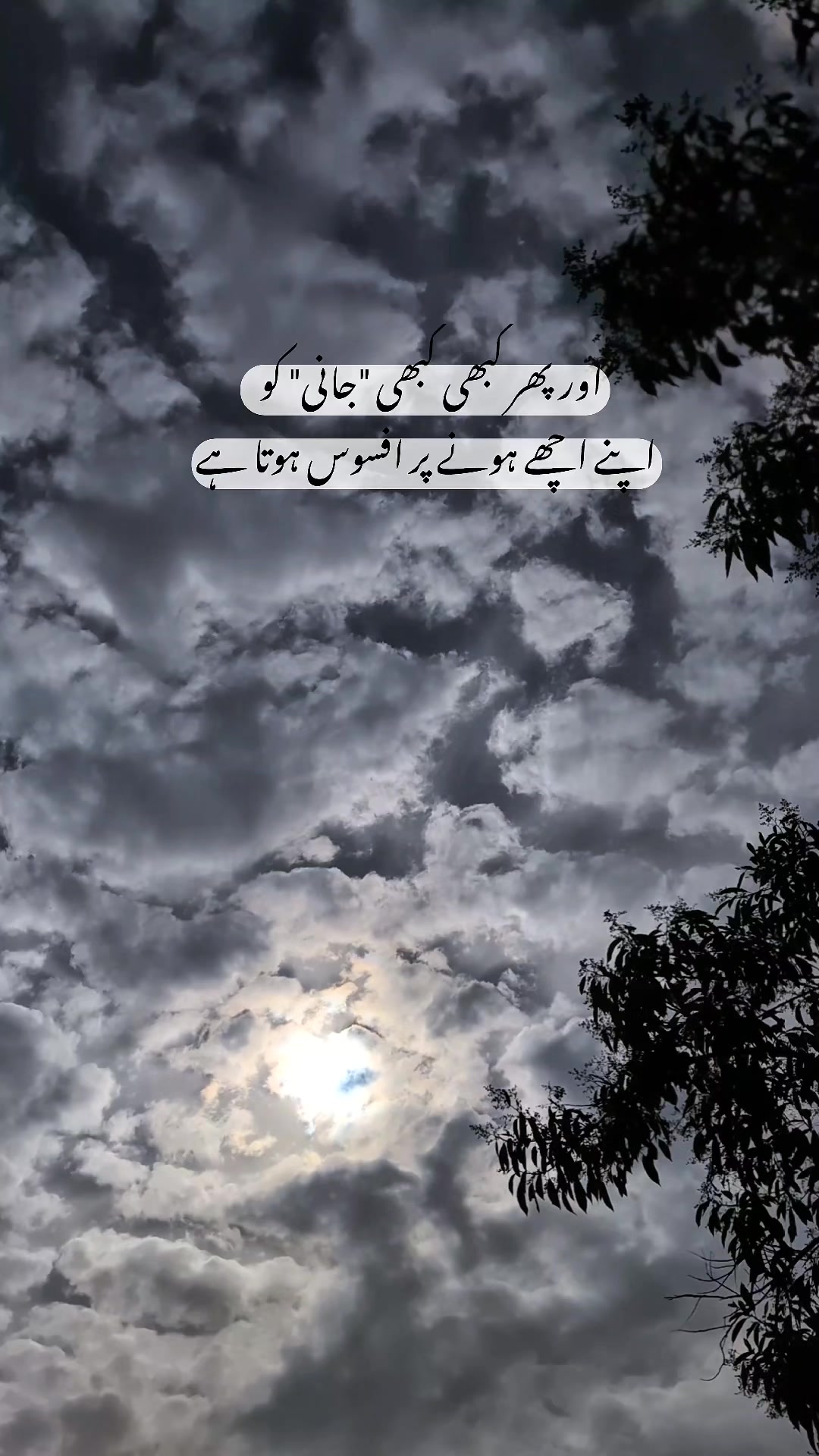 @ــــہہـ٨ــ&hearts;️ـــہہـ٨ـ