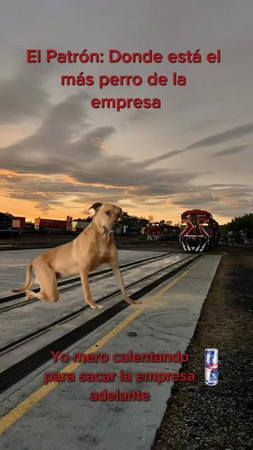 @elsr.deltren