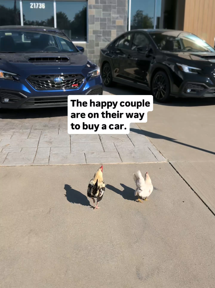 @Kelly Rutkowski