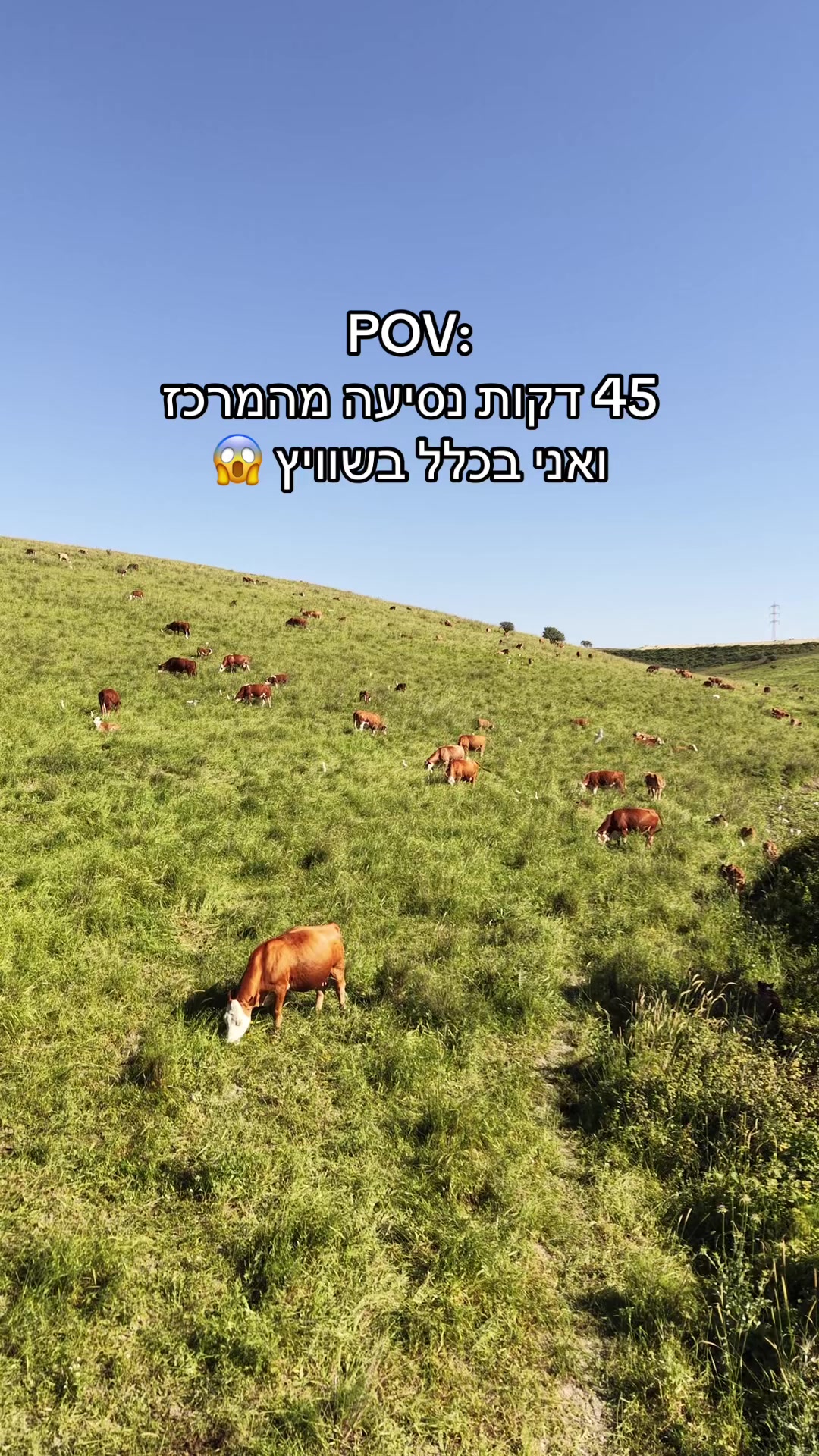 @AviranTravels
